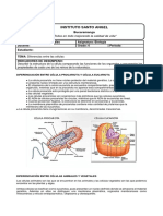 Recuperacion de Ciencias Naturales