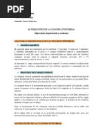 Alteraciones en El Alineamiento de La Columna