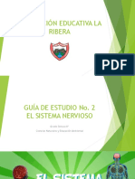 Guía # 2 - Sistema Nervioso Grado 8°