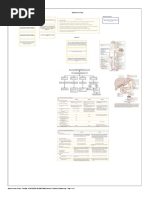 Deficiencia Vit B12 PDF