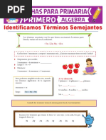 10.que Son Los Términos Semejantes para Primero de Primaria