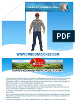 PDF Documento