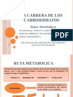 La Carrera de Los Carbohidratos