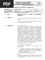 Informe de Laboratorio 11