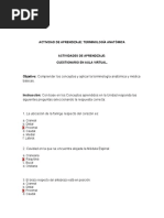 Terminología Anatómica 11