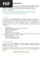 Importancia Del Derecho Laboral