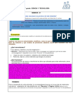 PDF Documento