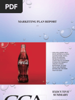 Marketing Plan Report