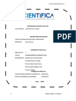 Informe 3 LAB - BIOLOGIA