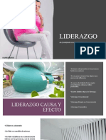 Liderazgo Causa y Efecto