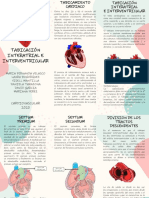 Tabicación Interatrial E Interventricular: Con Tabique Sin Tabique