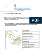 Universidad de Santander. Udes Programa de Instrumentación Quirurgica Cardiovascular, Hemodinamia Y Electrofisiología Trabajo Individual