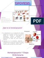 Hematopoyesis 140321000228 Phpapp02