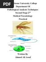 AL-Nisour University College Department of Pathological Analysis Techniques Second Stage 2 Medical Parasitology Practical