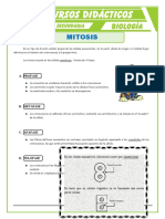 La Mitosis para Cuarto de Secundaria