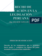 Diapositivas Derecho de Sindicación en La Legislación Peruana