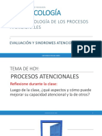 Procesos Atenciónales PDF