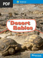 14 Desert Babies