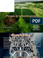 Presentacion Perdida de La Biodiversidad