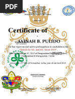 Certificate of Appreciation: Avinah B. Pulido