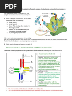 Review:: Label The Following Regions On This Generalised tRNA Molecule, Outlining The Function of Each