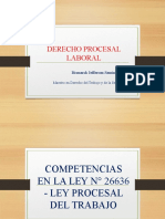 COMPETENCIAS DE LPT y NLPT