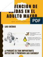 Prevención de Caídas en El Adulto Mayor