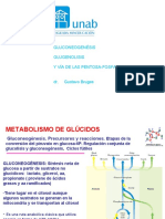 Bioquímica Gluneogenesis y Glugenolisis