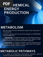 Biochemical Energy Production