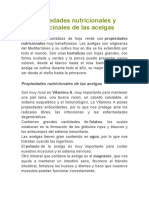 Propiedades Nutricionales y Medicinales de Las Acelgas