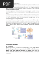 Cómo Funcionan Los Teléfonos Celulares