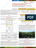 Requerimiento - Nutricional - de - Plantulas - en - Fase - de - Vivero Palma de Aceite