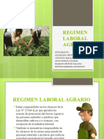 Regimen Laboral Agrario