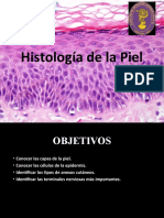 Histologia de Piel