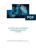 Etapas Del Control Administrativo PDF