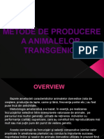 C3 - Metode Animale Transgenice