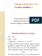 Biogeochemical Cycles