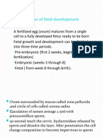 Fetal Development