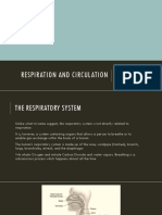 Respiration and Circulation: Secondary 2, Biology, Chapter 3