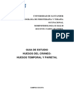 Guia de Estudio Hueso Temporal y Parietal P1