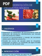 P1-Deshidratación de Productos Sólidos