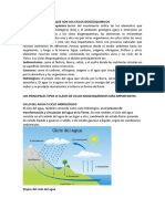 Que Son Los Ciclos Biogeoquimicos