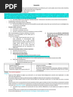 Bronquiolitis