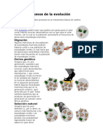 Los Mecanismos de La Evolución