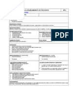 Ficha Levantamiento Procesos - Formulario