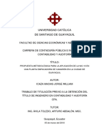 T Ucsg Pre Eco Cica 354 PDF