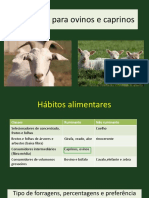 Caprinos e PDF