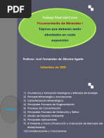 Pautas y Instrucciones Del Trabajo Final