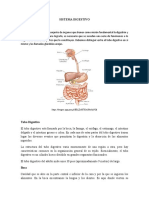 Sistema Digestivo