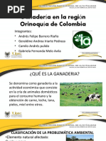 Ganadería en La Región Orinoquia de Colombia